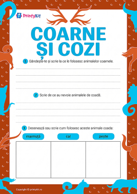 Coarne și cozi: învățăm să analizăm