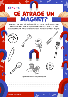 Alegem obiectele atrase de magnet