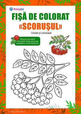 Planșă de colorat „Scorușul”