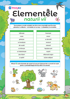 Identificăm proprietățile elementelor naturii vii
