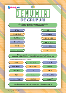 Denumiri de grupuri: le numim corect
