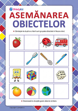 Asemănarea obiectelor: determinarea caracteristicilor esențiale