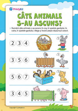 Câte animale s-au ascuns: învățăm să numărăm