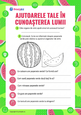 Ajutoarele tale în cunoașterea lumii: organele de simț