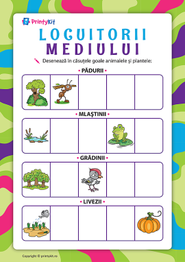 Locuititorii mediului înconjurător: studiem ecosistemele