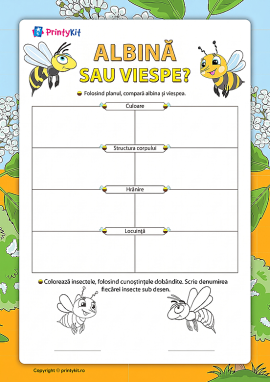 Albina sau viespea: învățăm să comparăm