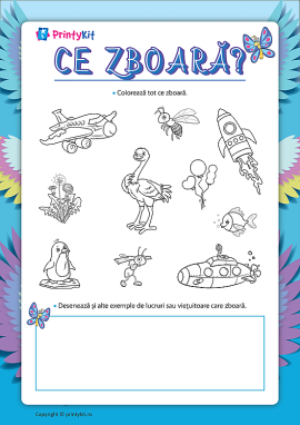 Ce zboară: moduri de deplasare